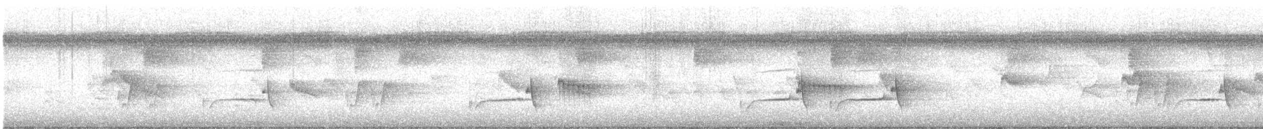 Ashy Tailorbird - ML646631745