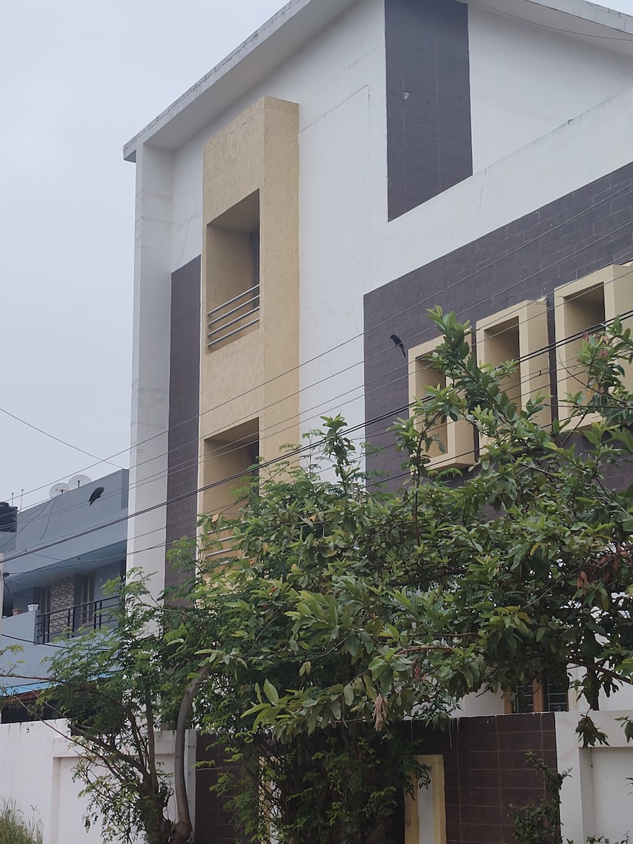 Black Drongo - ML646632029