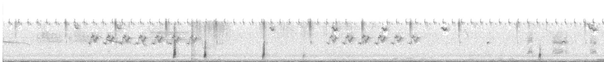 Savanna Nightjar - ML646632137