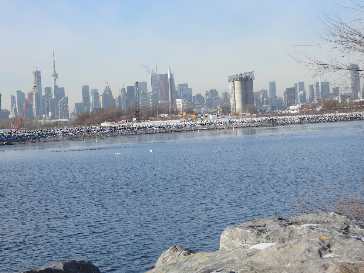 Izotz-ahatea - ML646632192