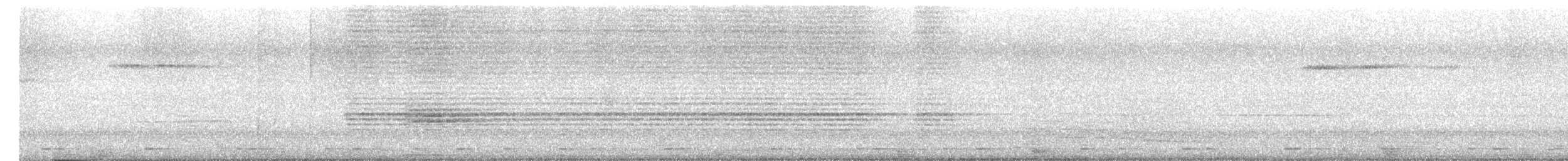 Coppersmith Barbet - ML646632426