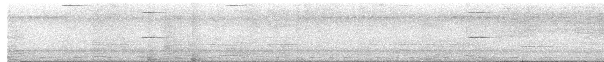 Coppersmith Barbet - ML646632441