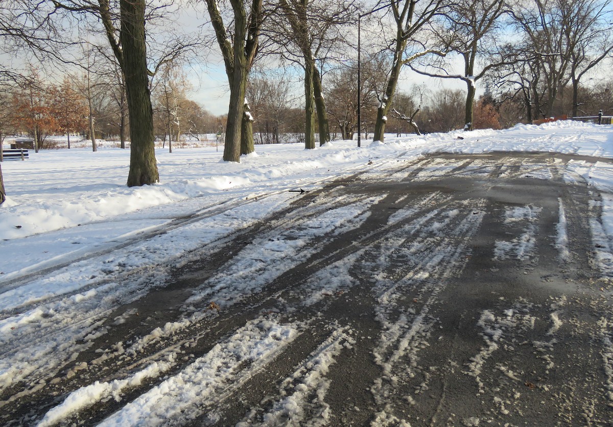 ユキヒメドリ - ML646633256