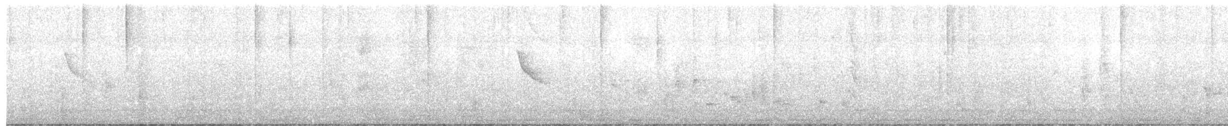 safranspurv - ML646633292