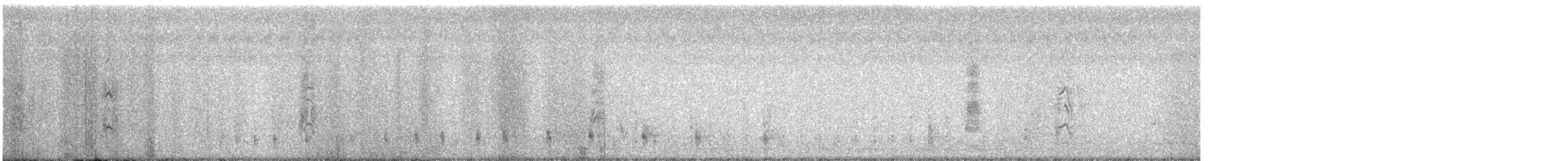 ハリオシギ - ML646633610