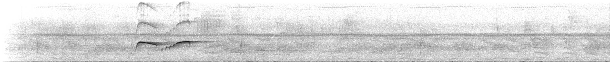 Southern Antpipit - ML646633844