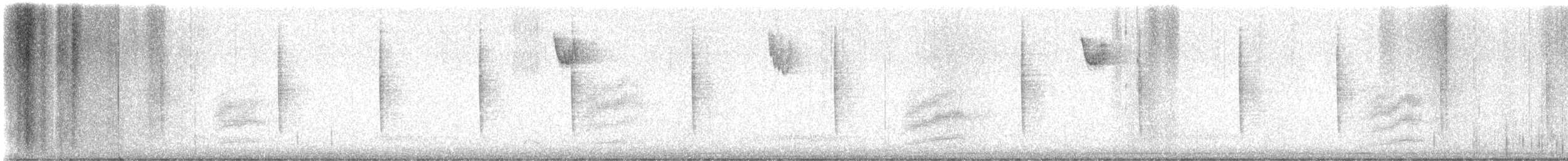 Spotted Towhee - ML646634154