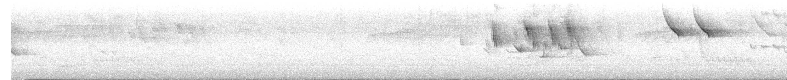 Чернолицый семилеро - ML646635168