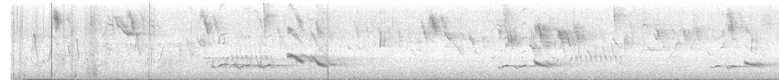 Tropical Mockingbird - ML646635233