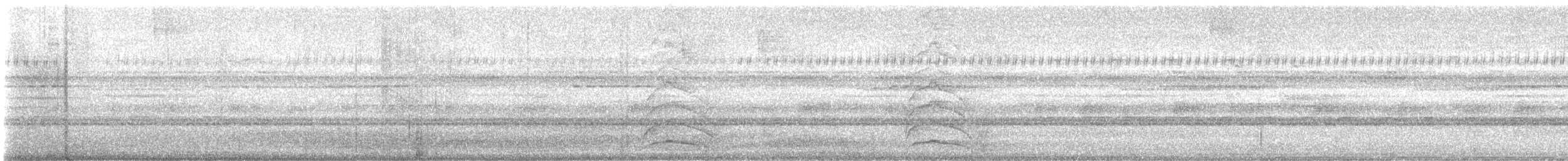 Moluccan Owlet-nightjar - ML646635802