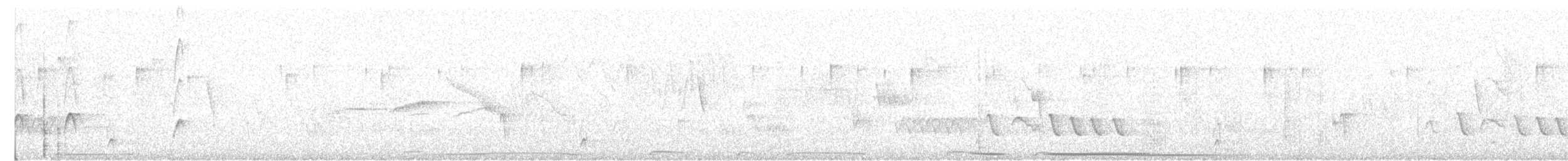 White-winged Becard - ML646636094