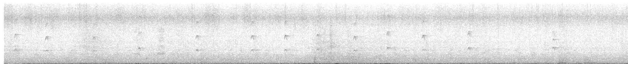 chřástal vodní - ML646636207