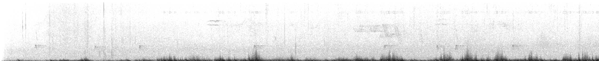 Olivflanken-Schnäppertyrann - ML646636241