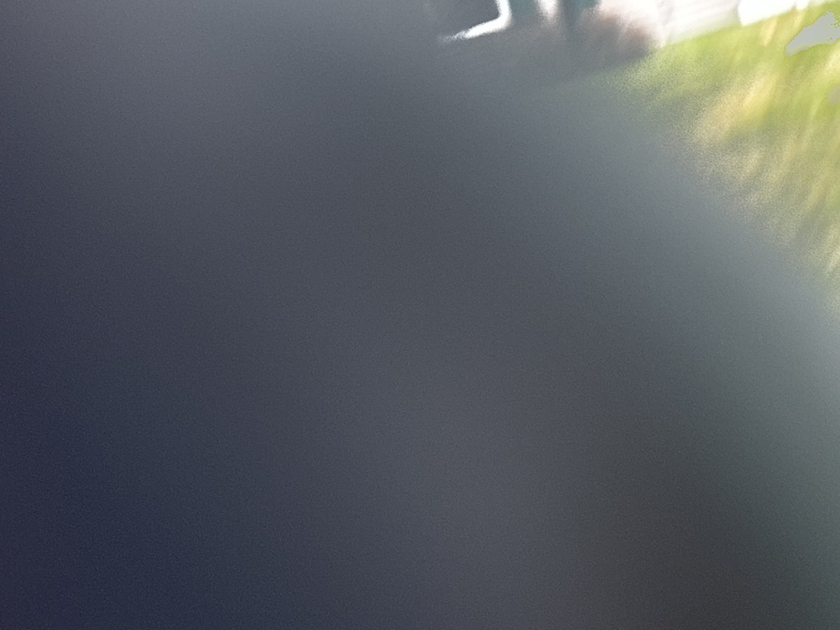 Painted Bunting - ML646636253