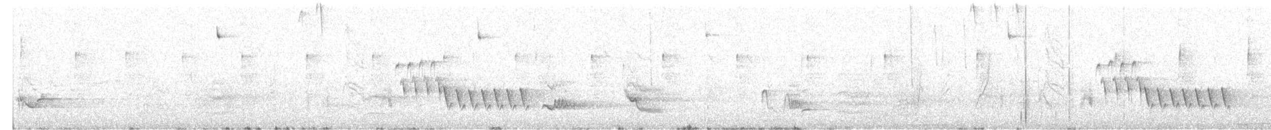 Southern House Wren - ML646636268