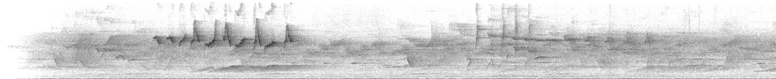 Large-billed Scrubwren - ML646637012