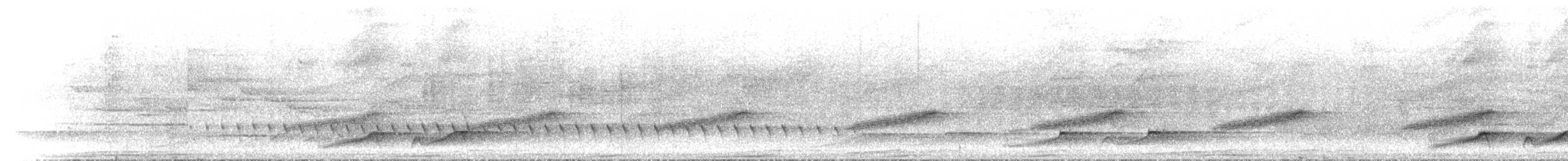 Australian Spectacled Monarch - ML646637066