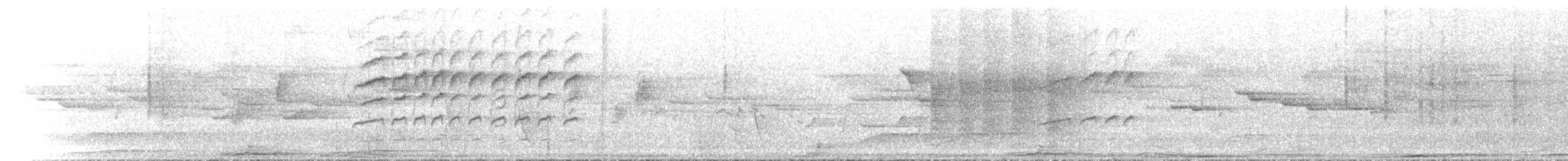 Australian Spectacled Monarch - ML646637080