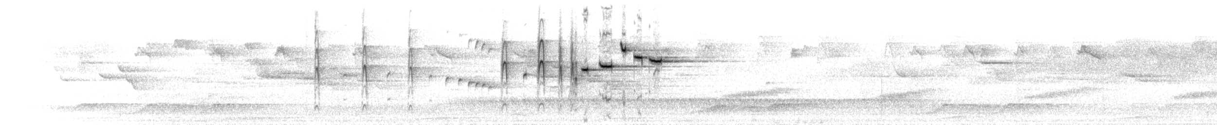 Graufächerschwanz - ML646637122
