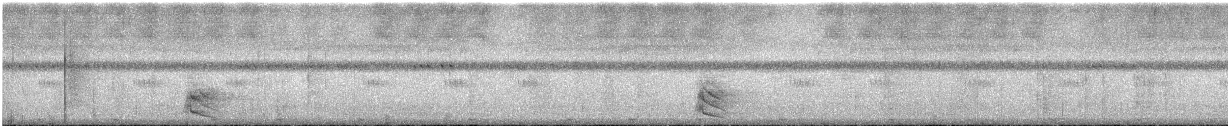 Australian Owlet-nightjar - ML646637162