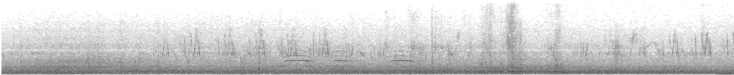 Jungle Prinia - ML646637330