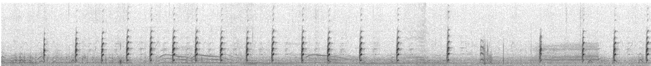 Black-necked Stilt - ML646637586