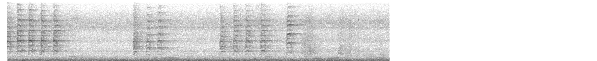 Oriental Pied-Hornbill - ML646637755