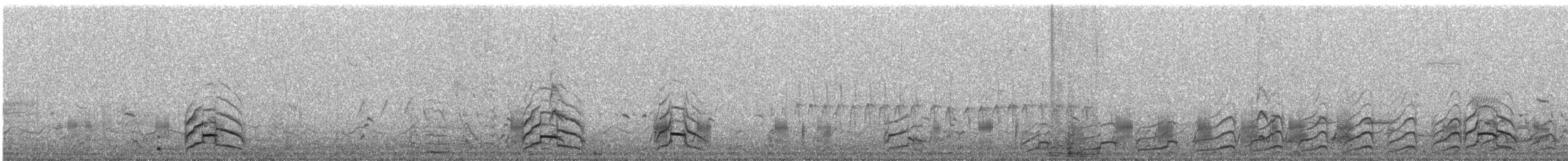 Franklin's Gull - ML646638016