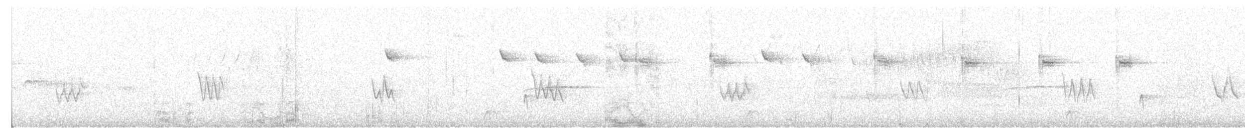 White-bellied Hummingbird - ML646638141