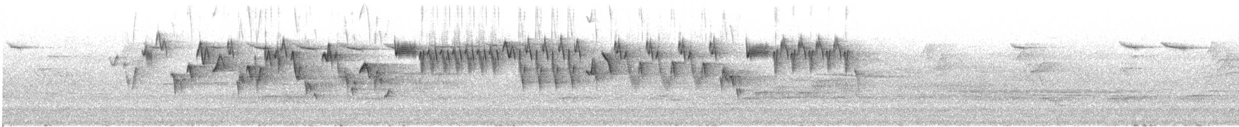 Pacific Wren - ML646638469