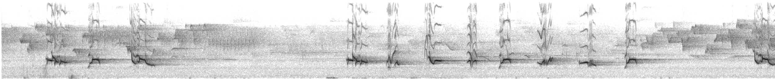 American Robin - ML646638553