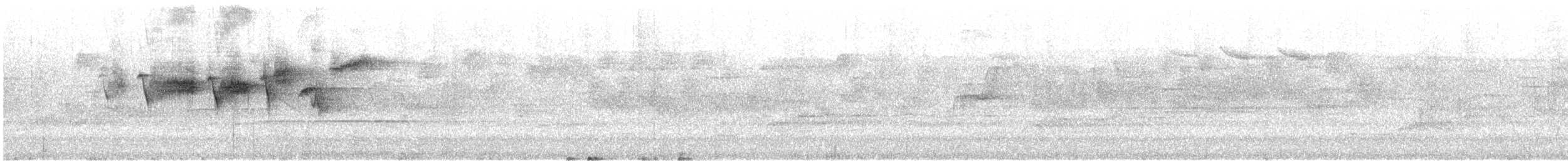 Townsendwaldsänger - ML646638621