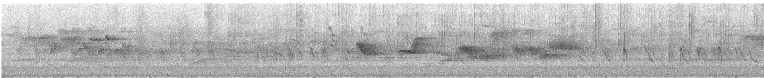 Fichtenkreuzschnabel (Typ 3) - ML646638627