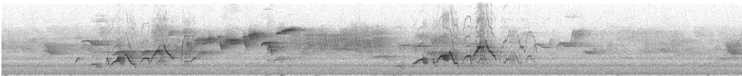 Zwergmusendrossel [ustulatus-Gruppe] - ML646638629