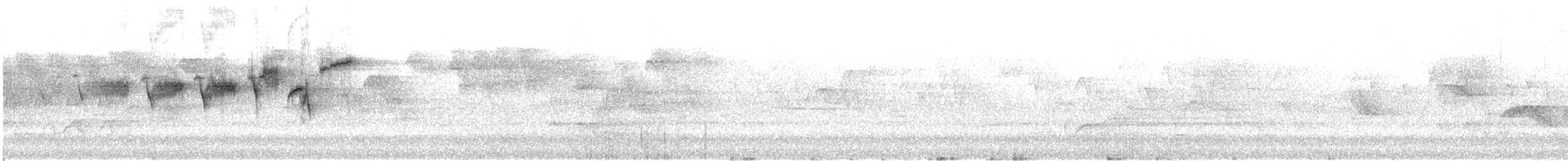 Townsendwaldsänger - ML646638669