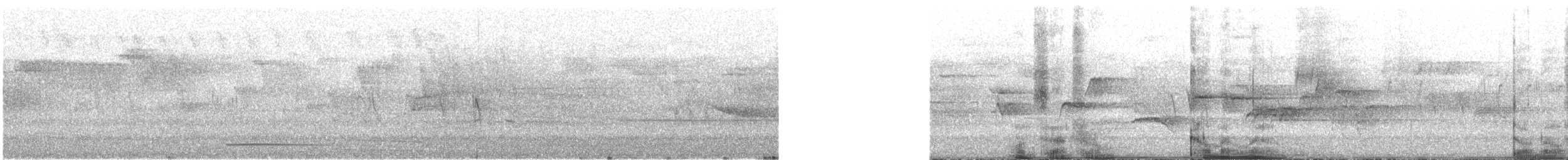 Common Loon - ML646638698