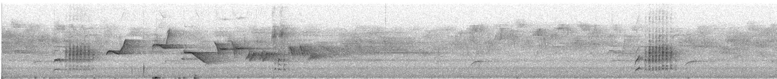 Swainson's Thrush (Russet-backed) - ML646638721