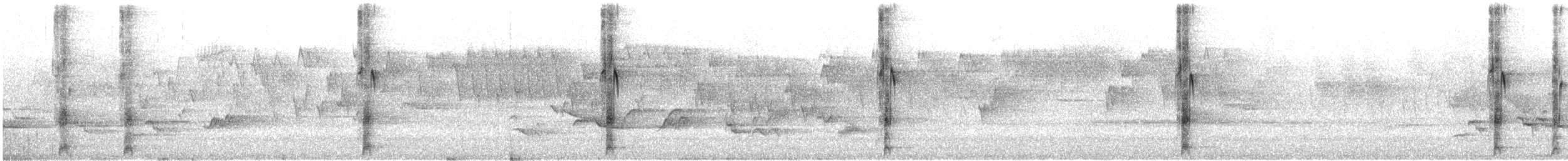 American Red Squirrel - ML646638737