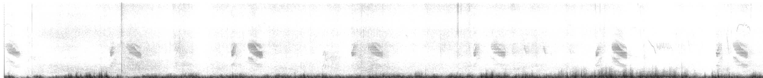 White-browed Tapaculo - ML646639125