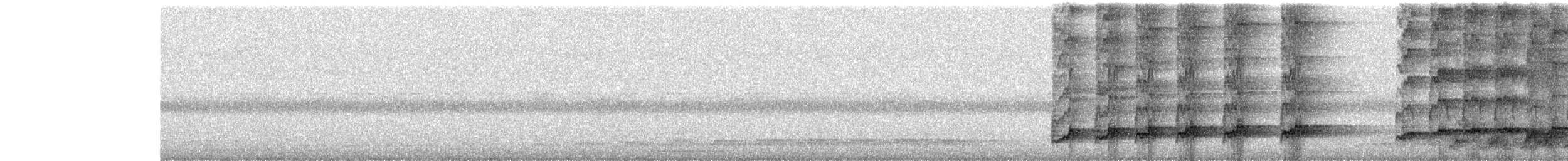 Asian Koel - ML646640451