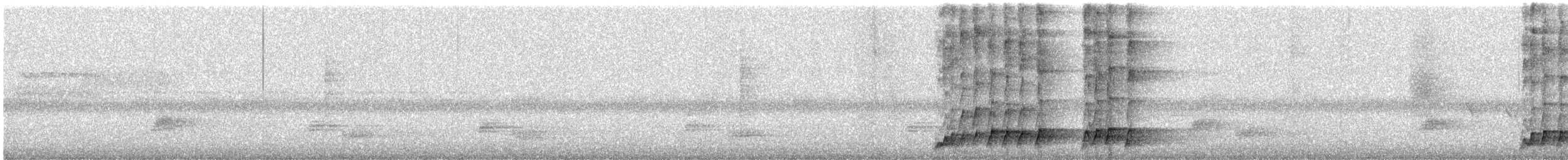 オニカッコウ - ML646640478