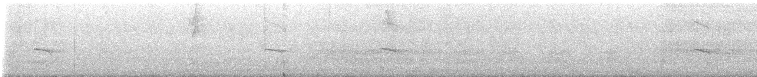 キバラメグロハエトリ - ML646640529