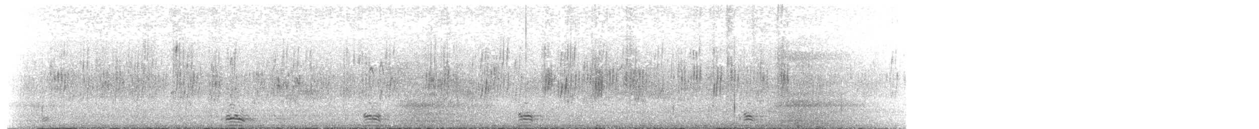 Cormorán Grande - ML646640534