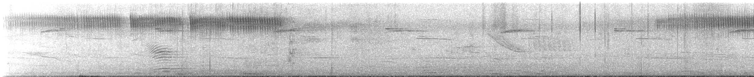 kolibřík zlacený - ML646640545