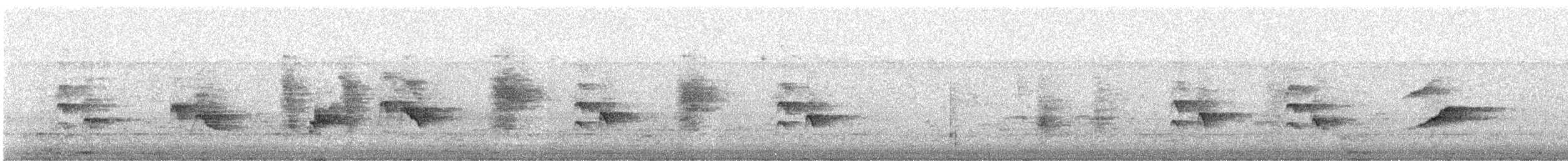 bronsedrongo - ML646640682