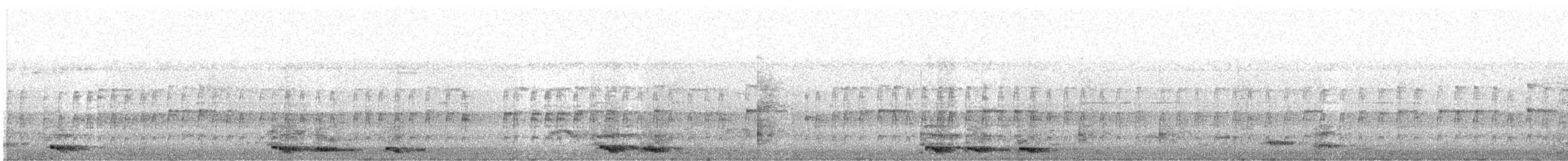 langstjertskredderfugl - ML646640689