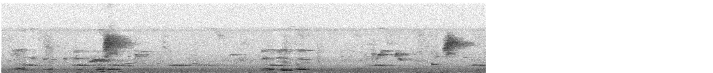 gallaparadismonark - ML646640710