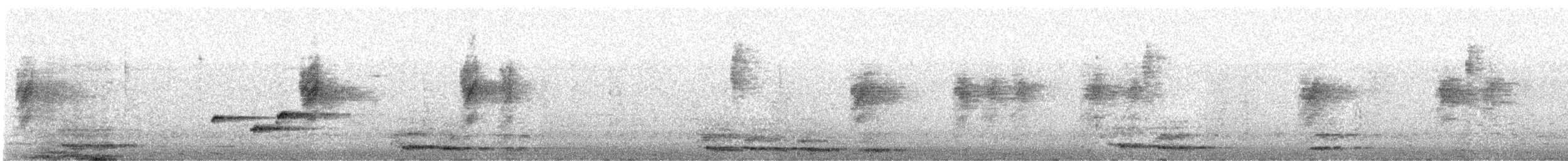 gallaparadismonark - ML646640712