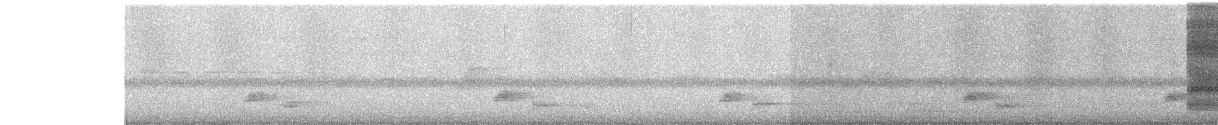 storsporegjøk (parroti) - ML646640731