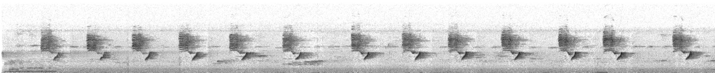 langnebbsolfugl - ML646640737